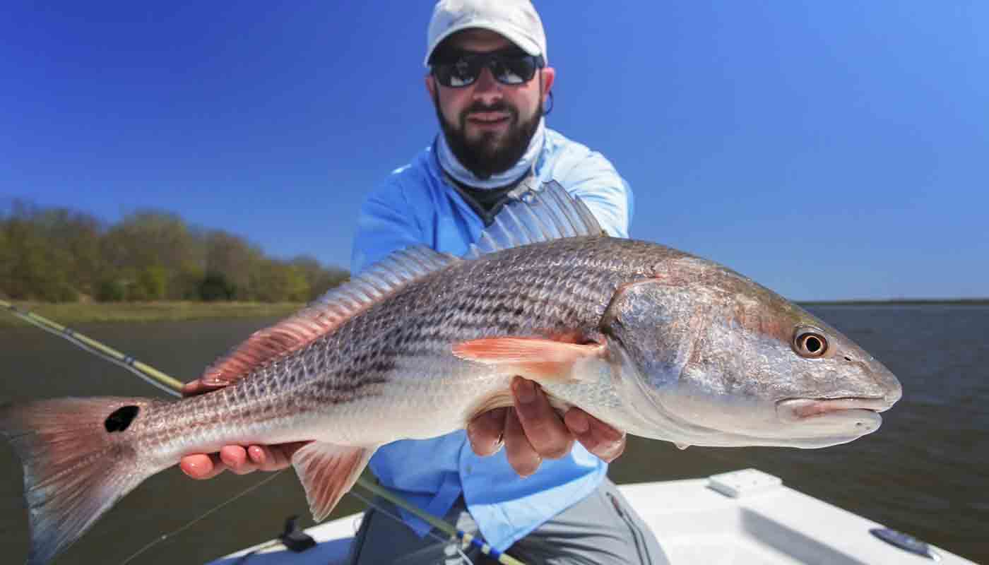 A man holds a redfish he caught up to the camera.