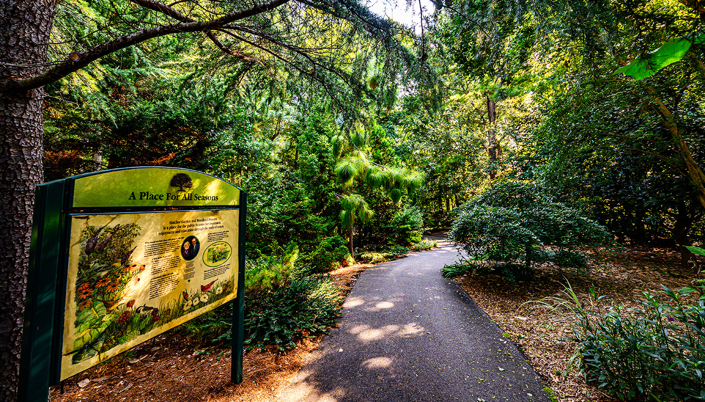 Path surrounded by trees and shrubs, with a sign in foreground