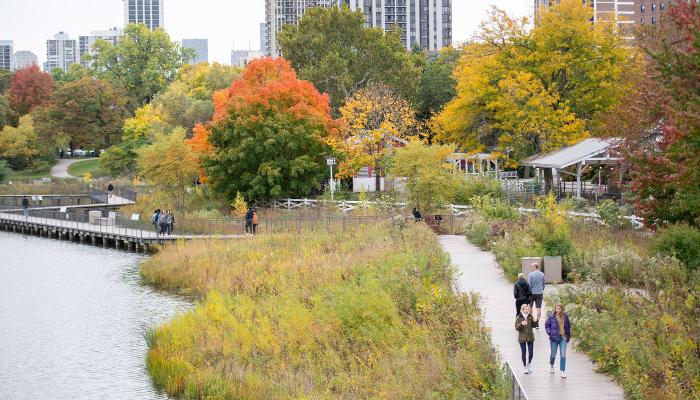 A Perfect Girls' Day in Chicago's Lincoln Park