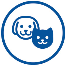 Blue dog and cat icon