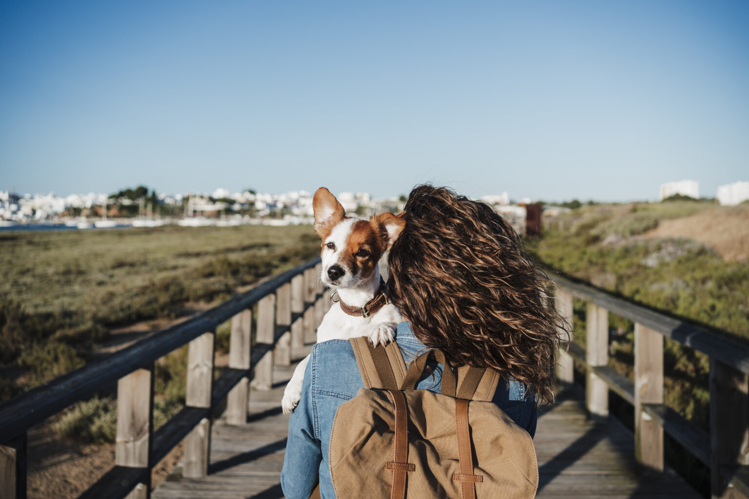 Woman carrying a dog and a back pack on a beach boardwalk