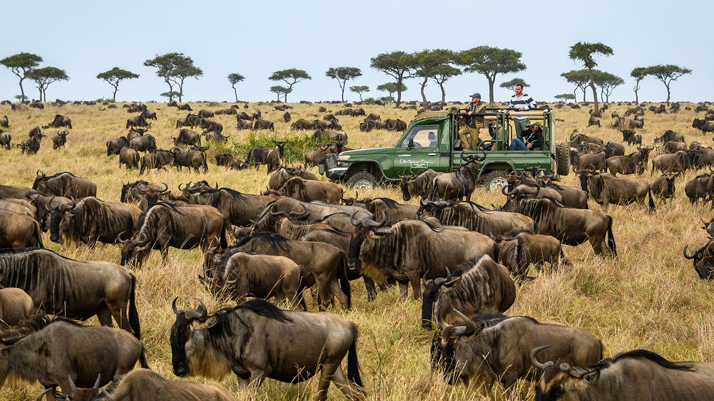 A large herd of animals on the African plains