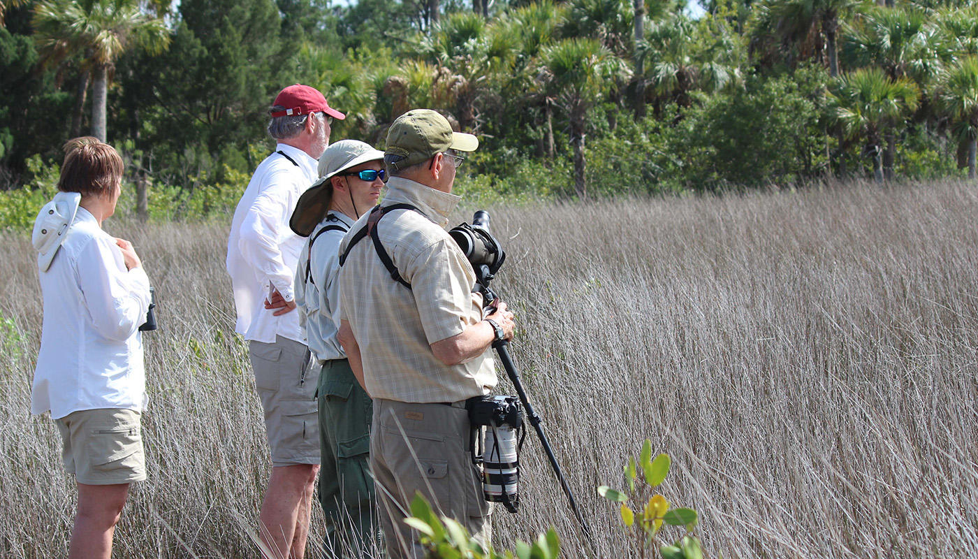 Group of birdwatchers in field