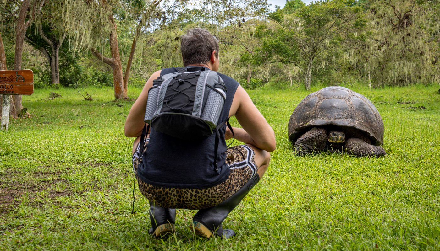A man crounching down to observe a very large tortoise sitting in the grass.