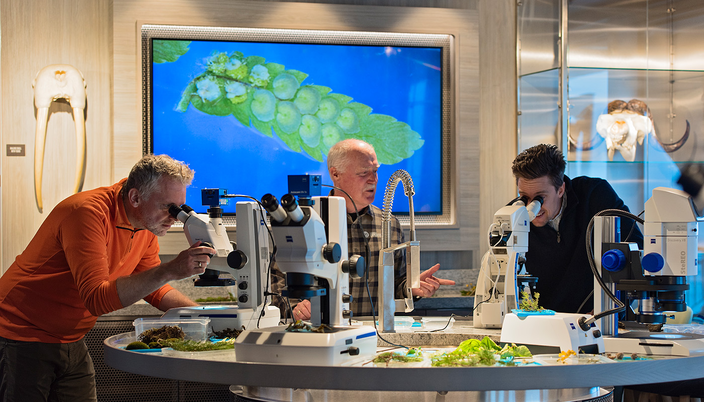 Three adults doing research in science center lab