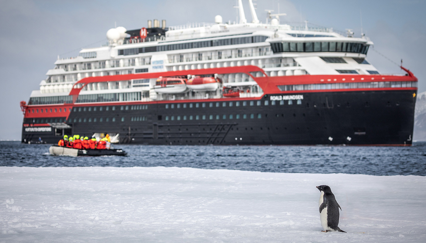 Hurtigruten ship in the background with lone penguin in foreground