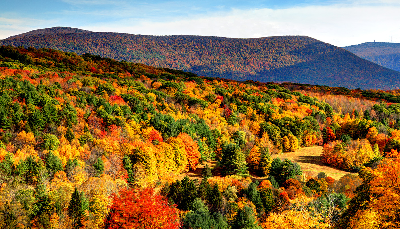 Fall foliage in the Berkshires region of Massachusetts